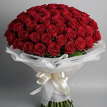 Букет 101 Красная роза Блэк Мэджик в Торбеево