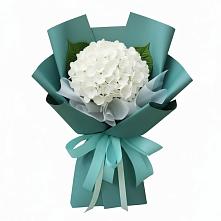 Букет цветов из:  Гортензия в Торбеево